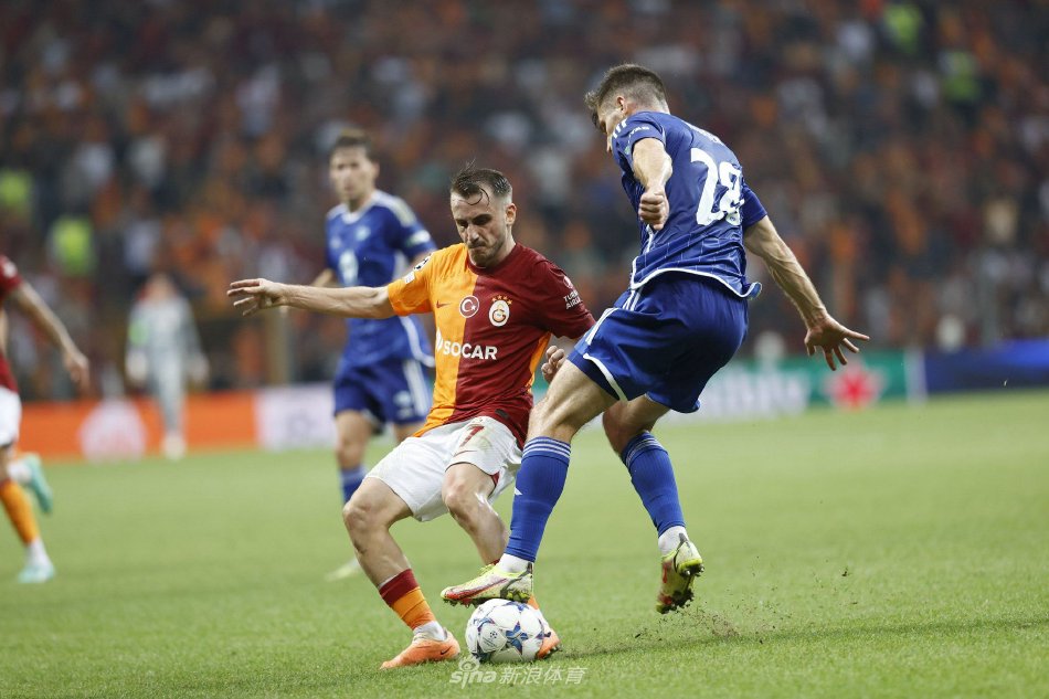 合所带来的 合所带来的